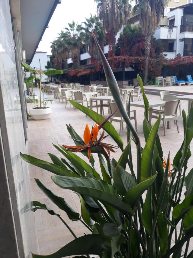 Club Jovia Kemer Hotel Antalya Exterior photo
