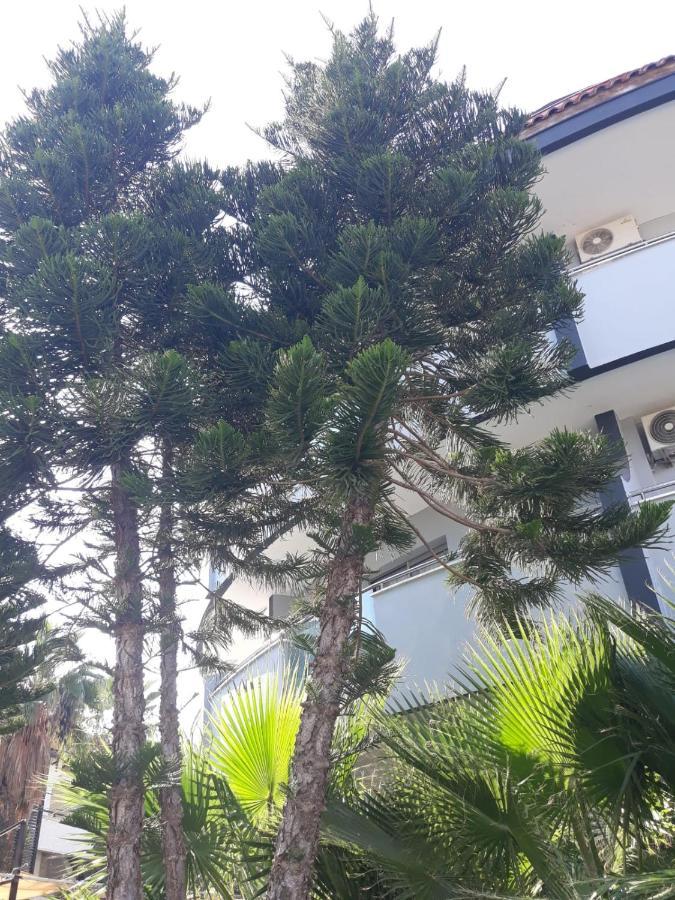 Club Jovia Kemer Hotel Antalya Exterior photo